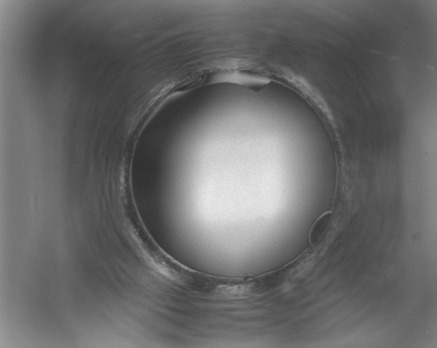 X0000054370057200508191857