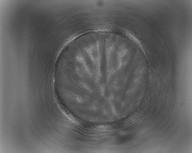 X0000054370059200508191857