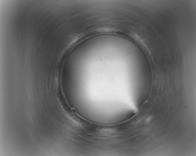 X0000054370063200508191857