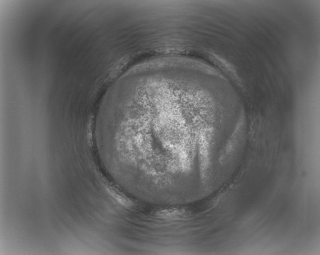 X0000054370065200508191857