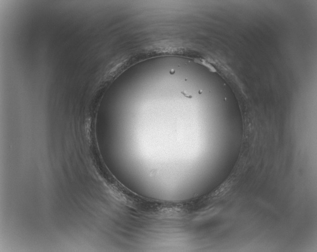 X0000054370066200508191857