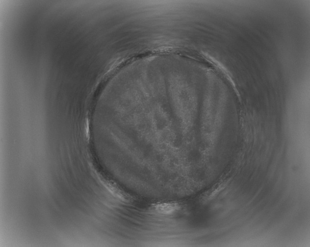 X0000054370067200508191857