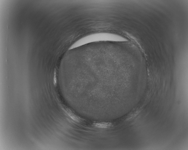 X0000054370069200508191857