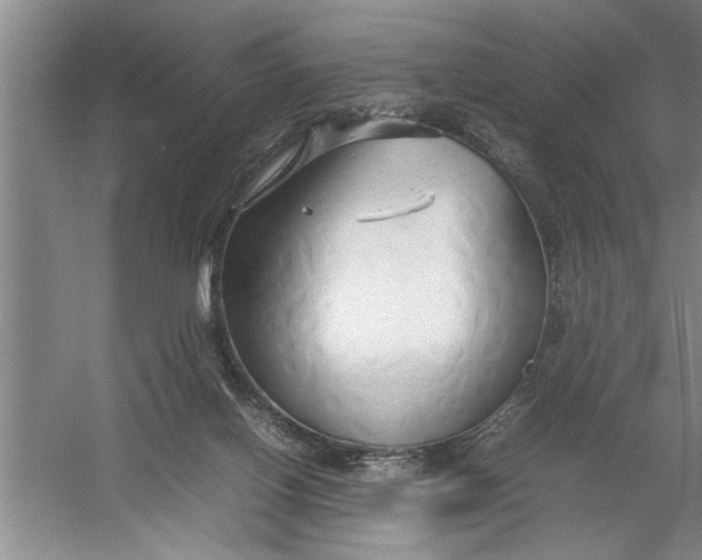 X0000054370070200508191857