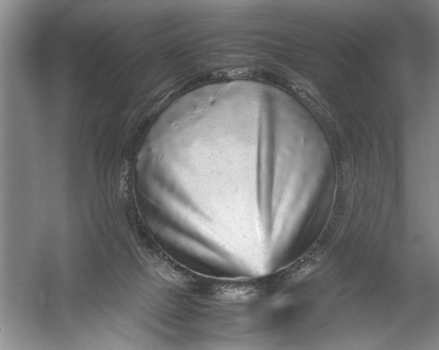 X0000054370073200508191857