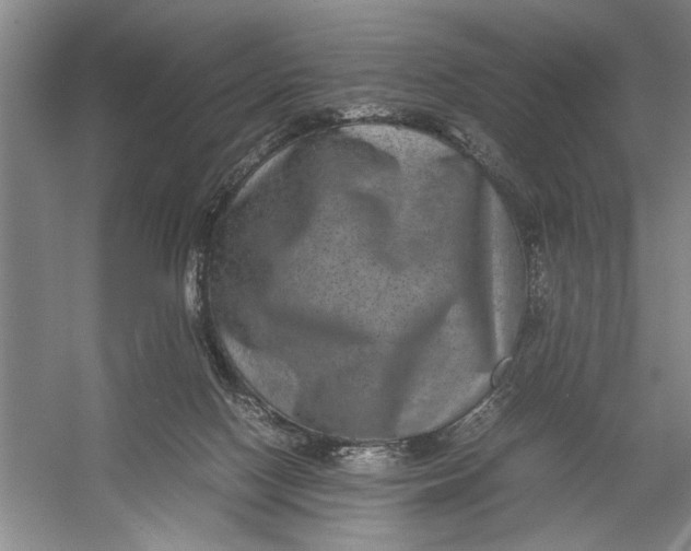 X0000054370074200508191857