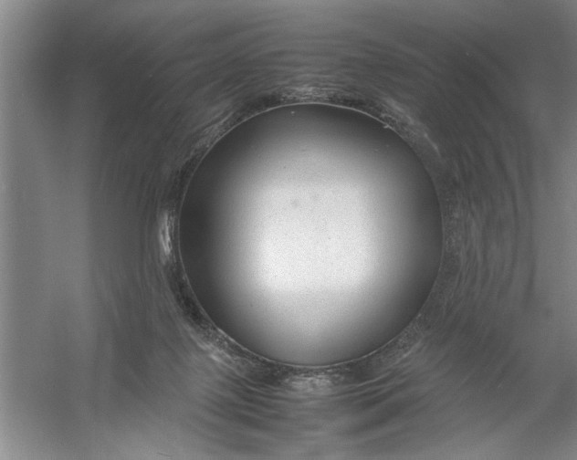 X0000054370075200508191857