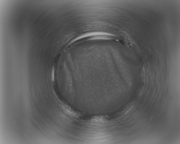 X0000054370076200508191857