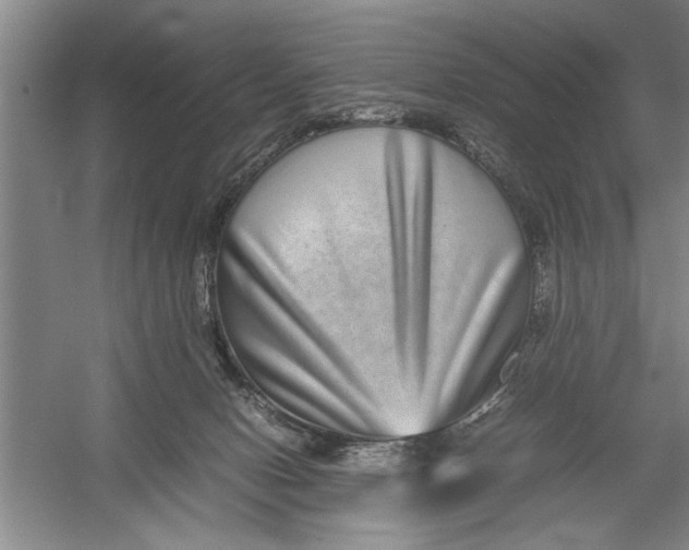 X0000054370078200508191857