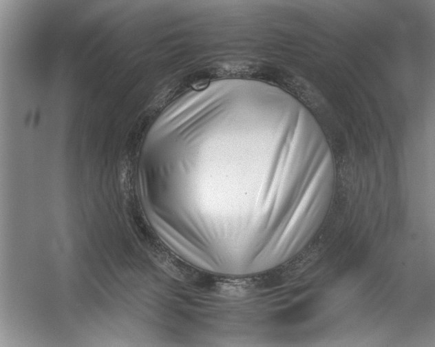 X0000054370079200508191857