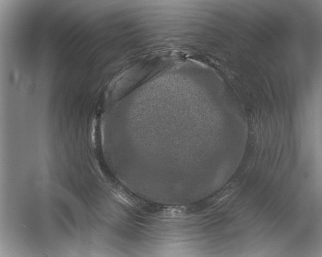 X0000054370080200508191857