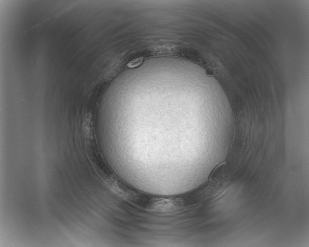 X0000054370083200508191857