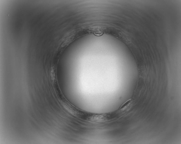 X0000054370086200508191857