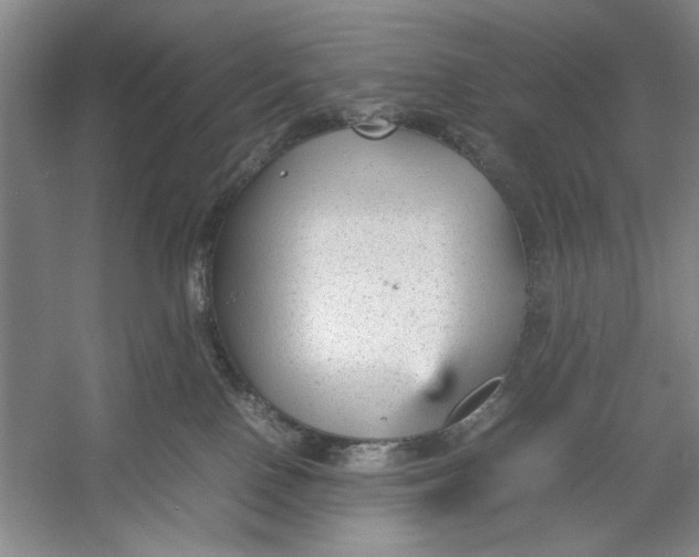 X0000054370090200508191858