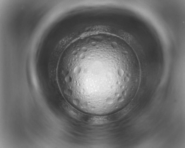 X0000054370093200508191858