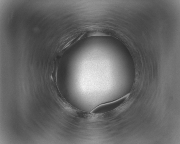 X0000054370096200508191858