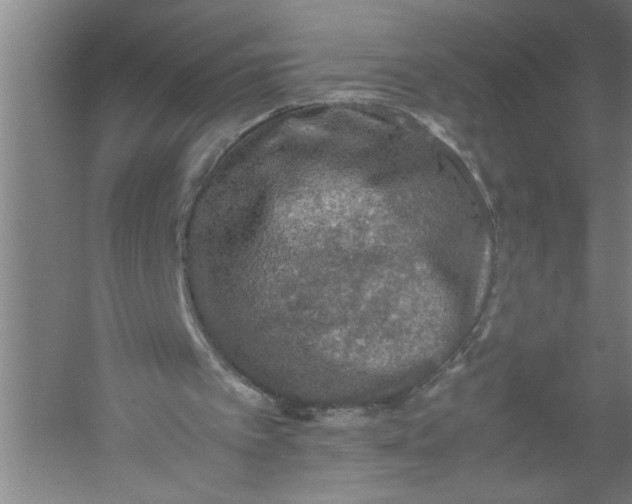 X0000054370097200508191857