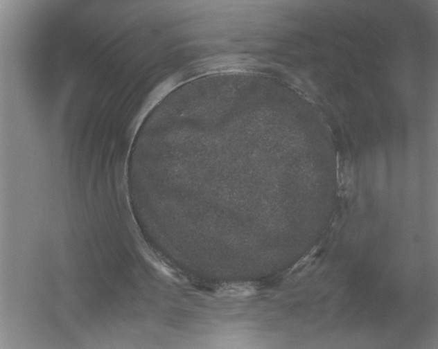 X0000054370099200508191857