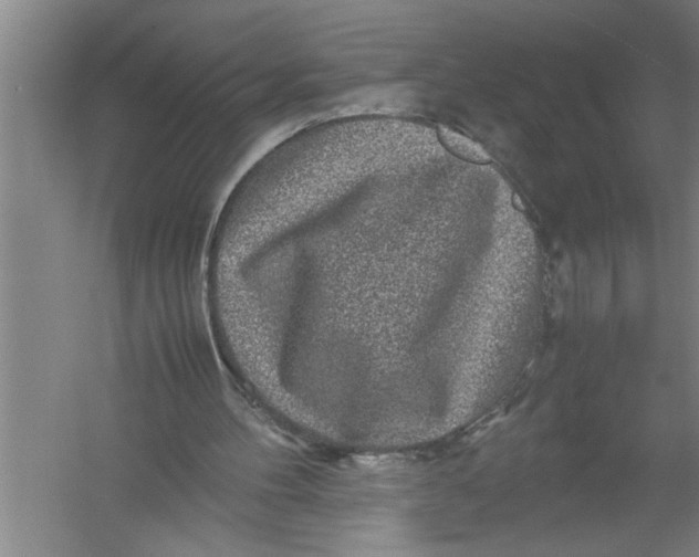 X0000054370100200508191857