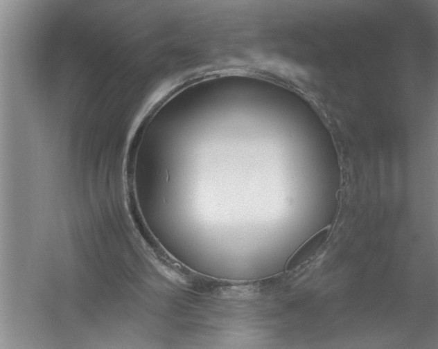 X0000054370102200508191857