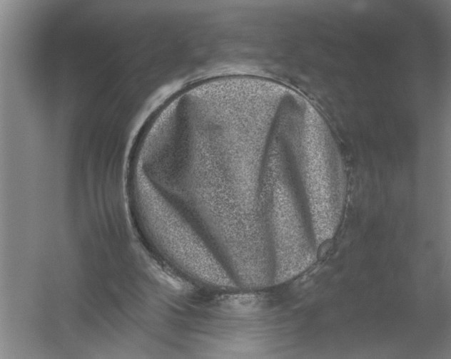 X0000054370104200508191857