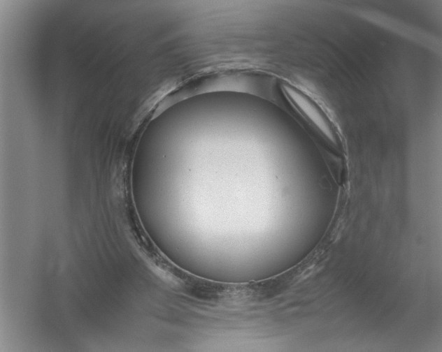 X0000054370105200508191857