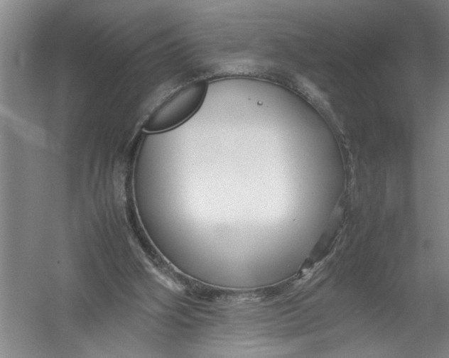 X0000054370106200508191857