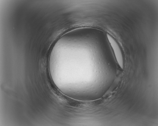 X0000054370107200508191857