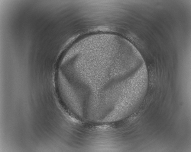 X0000054370112200508191857