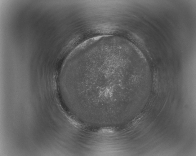 X0000054370114200508191857