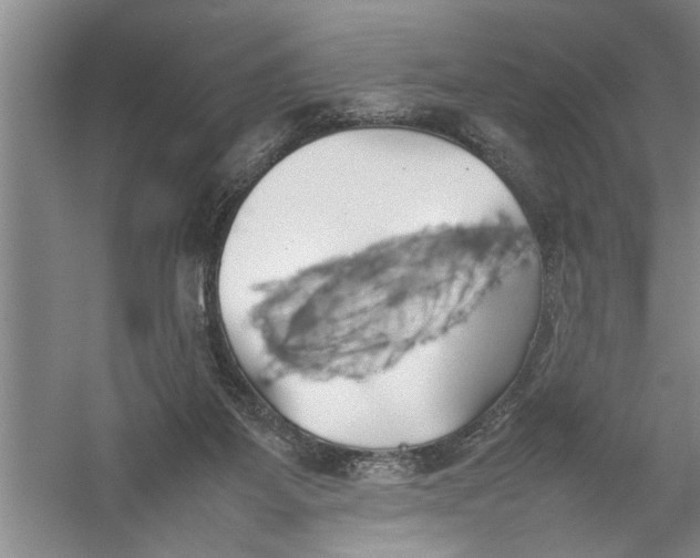 X0000054370115200508191856