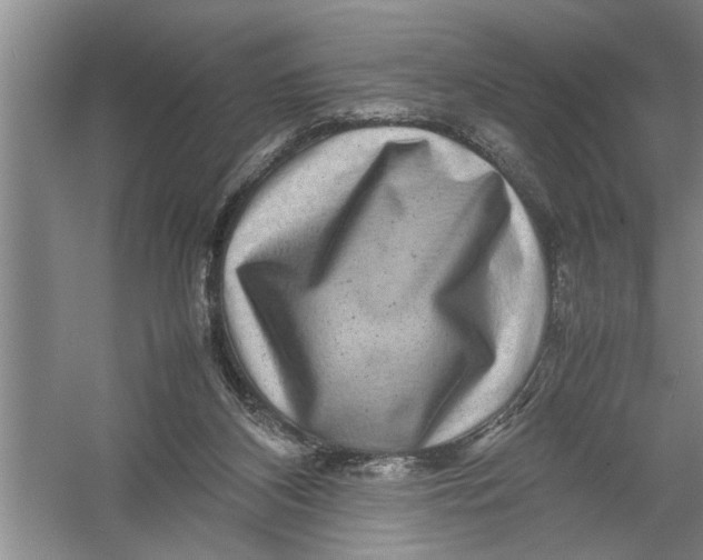 X0000054370116200508191856