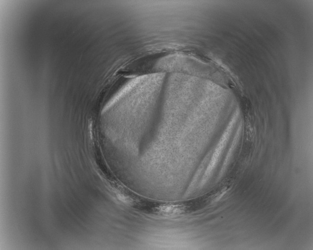 X0000054370117200508191856