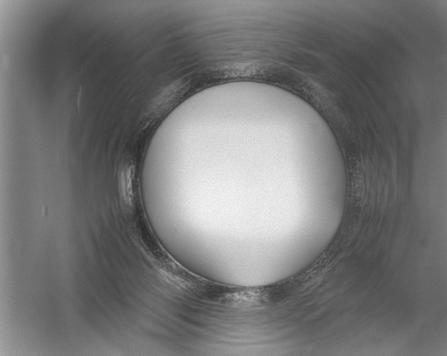 X0000054370118200508191856