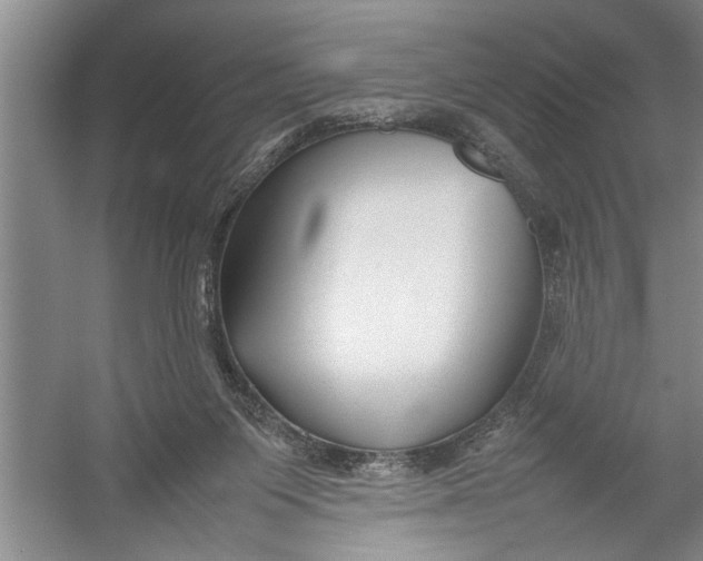 X0000054370119200508191856