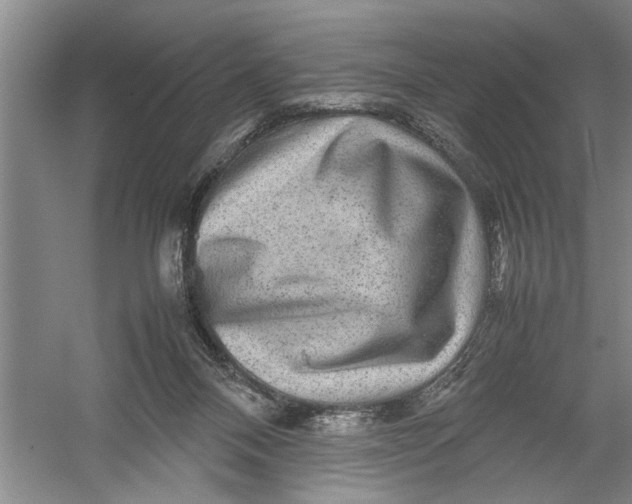 X0000054370120200508191856