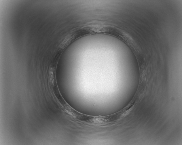 X0000054370121200508191856