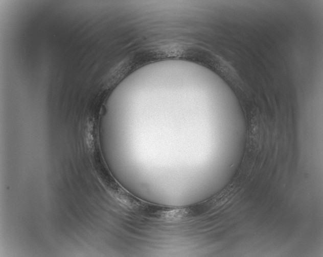 X0000054370122200508191856