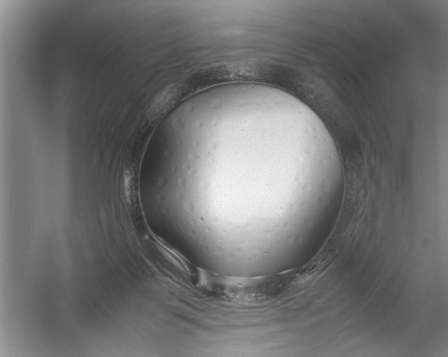 X0000054370123200508191856