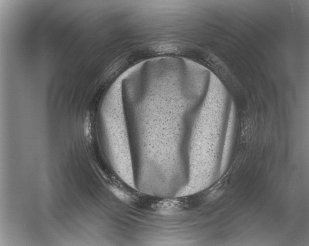 X0000054370124200508191856