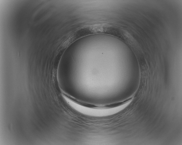 X0000054370125200508191856