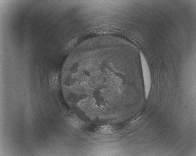 X0000054370127200508191856