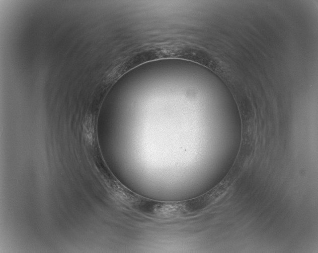 X0000054370129200508191856