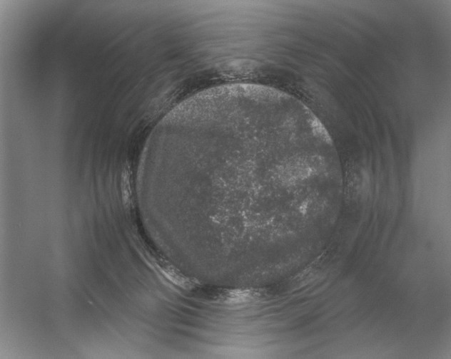 X0000054370130200508191856