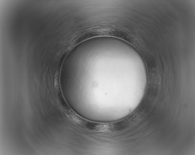 X0000054370131200508191856