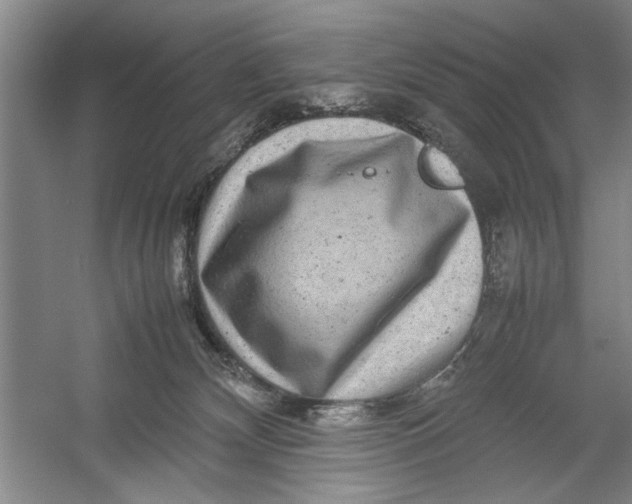 X0000054370132200508191856