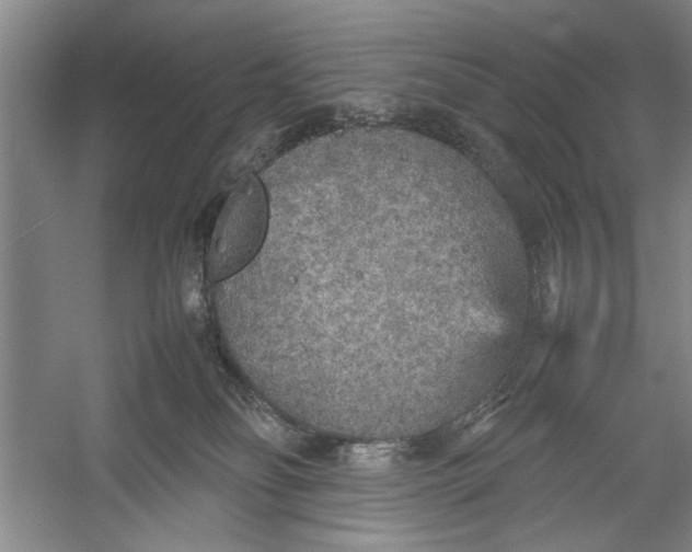 X0000054370134200508191856