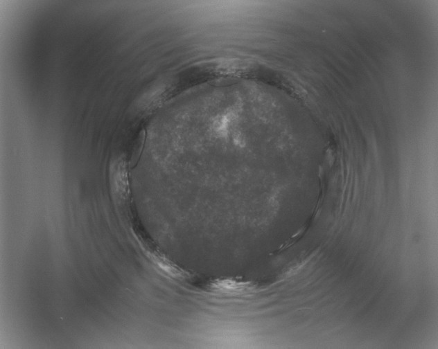 X0000054370137200508191856