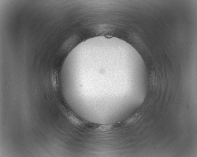 X0000054370138200508191856