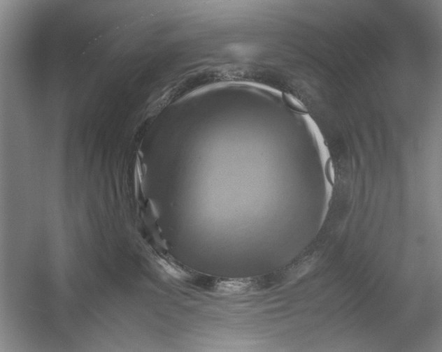 X0000054370139200508191856